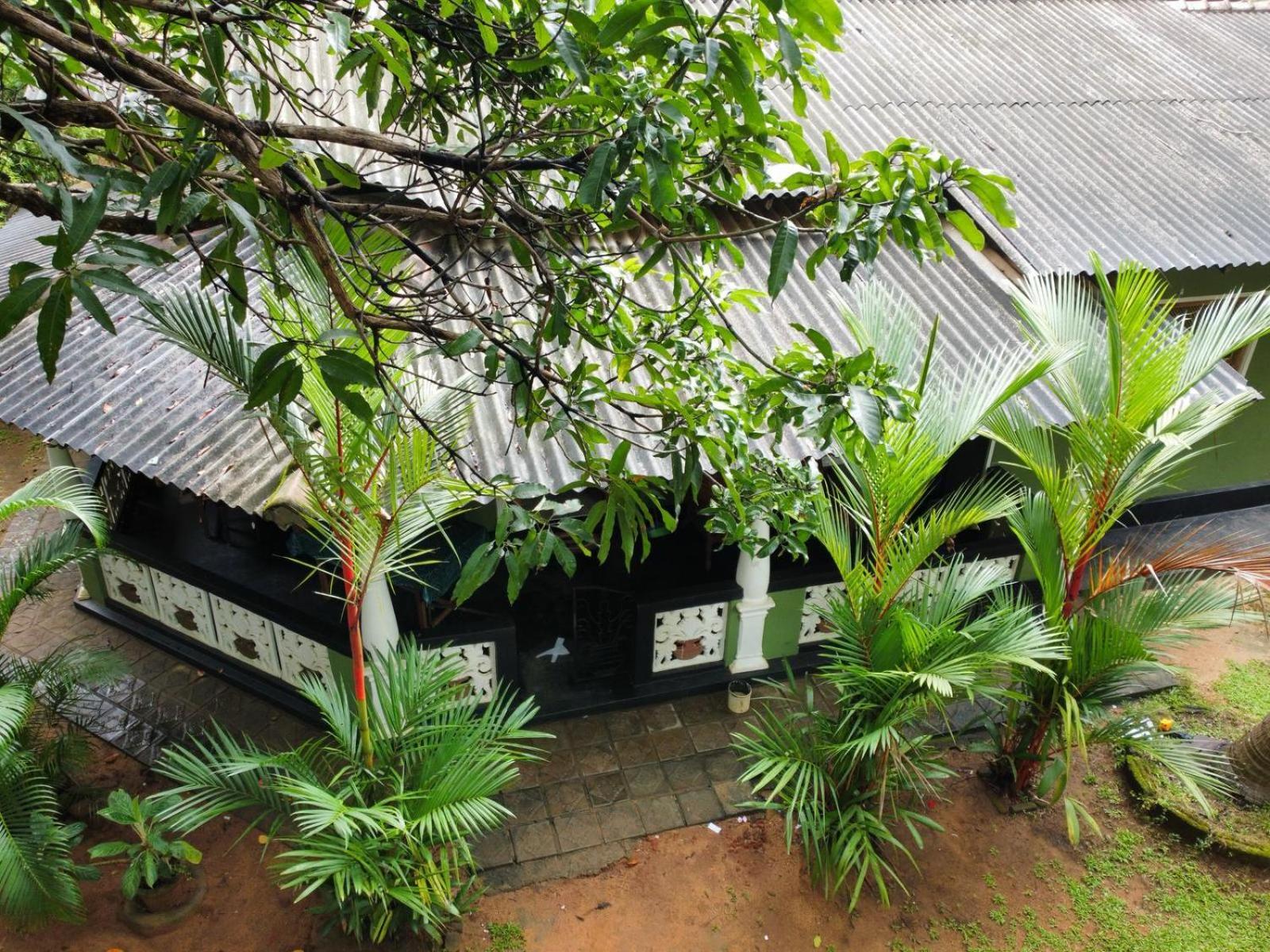 Green Bamboo House Sigiriya Exterior photo