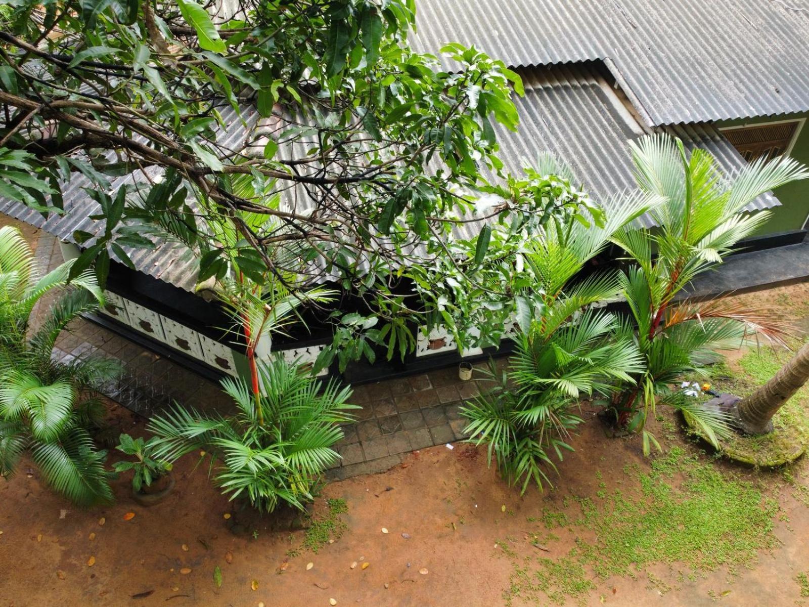 Green Bamboo House Sigiriya Exterior photo