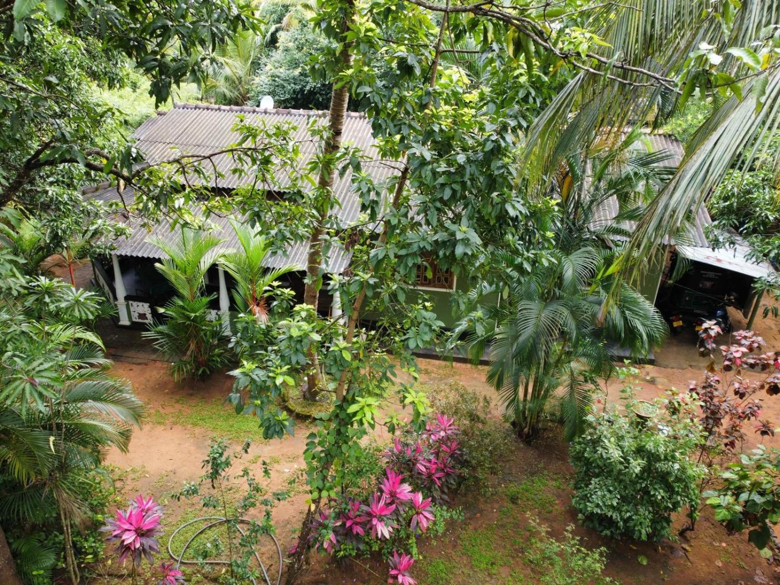 Green Bamboo House Sigiriya Exterior photo
