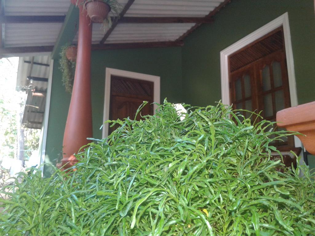 Green Bamboo House Sigiriya Exterior photo